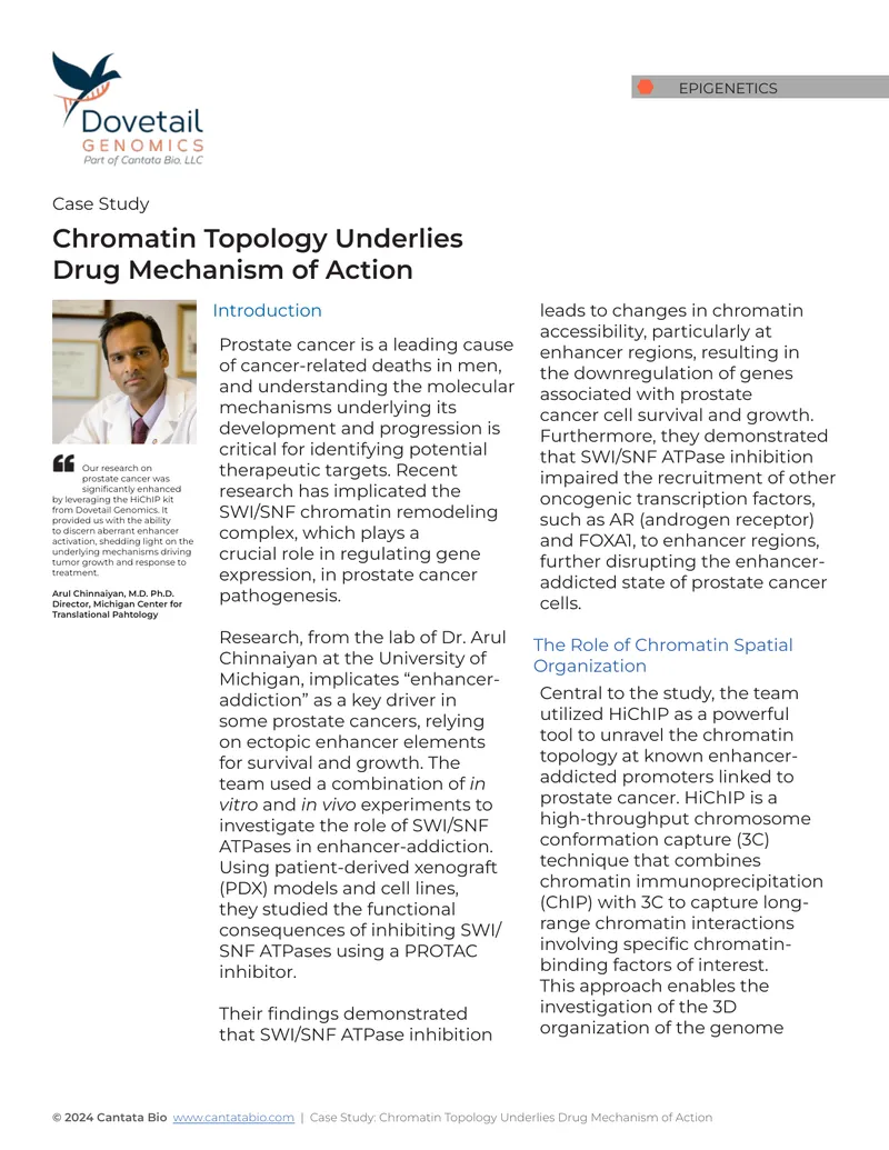 Chromatin Topology and Drug Mechanism in Prostate Cancer