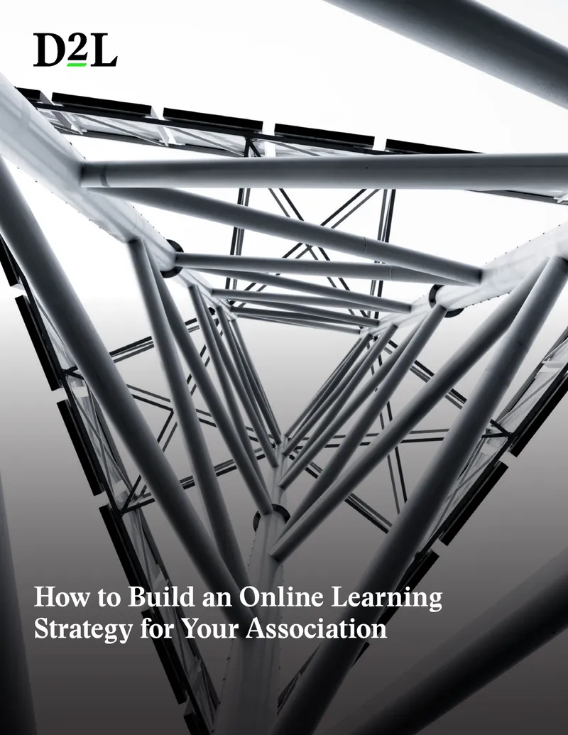 Building an Online Learning Strategy for Associations
