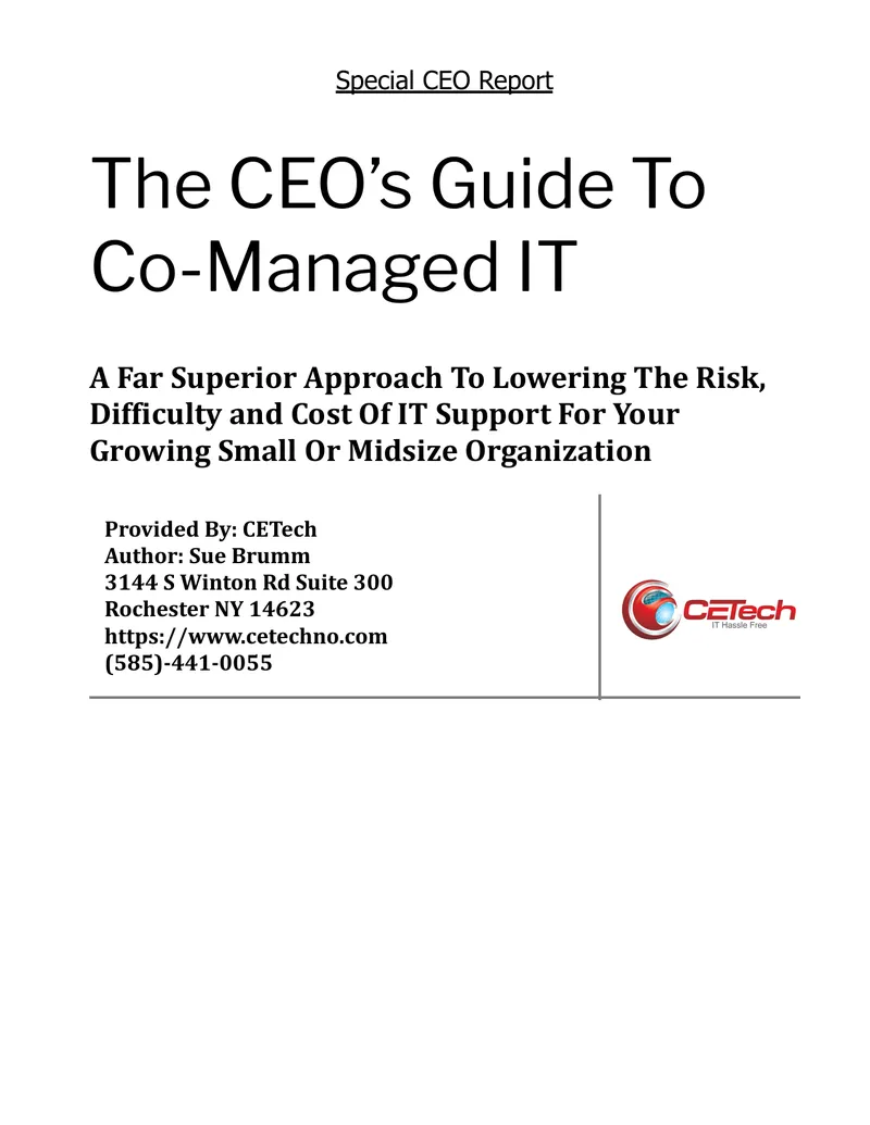CEO's Guide to Co-Managed IT Support
