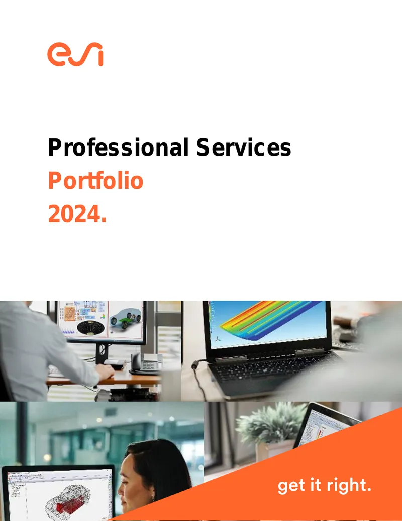ESI Service Offerings Overview and Customization