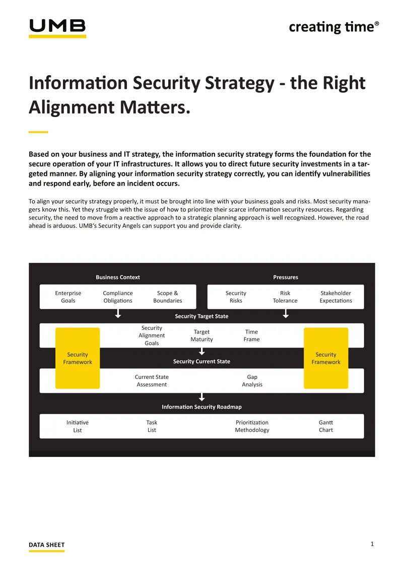 Information Security Strategy Alignment Guide
