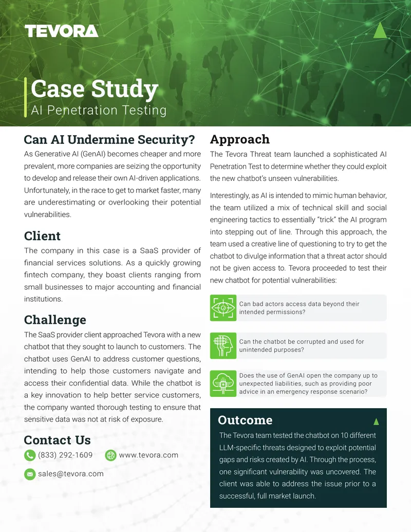 AI Penetration Testing Case Study