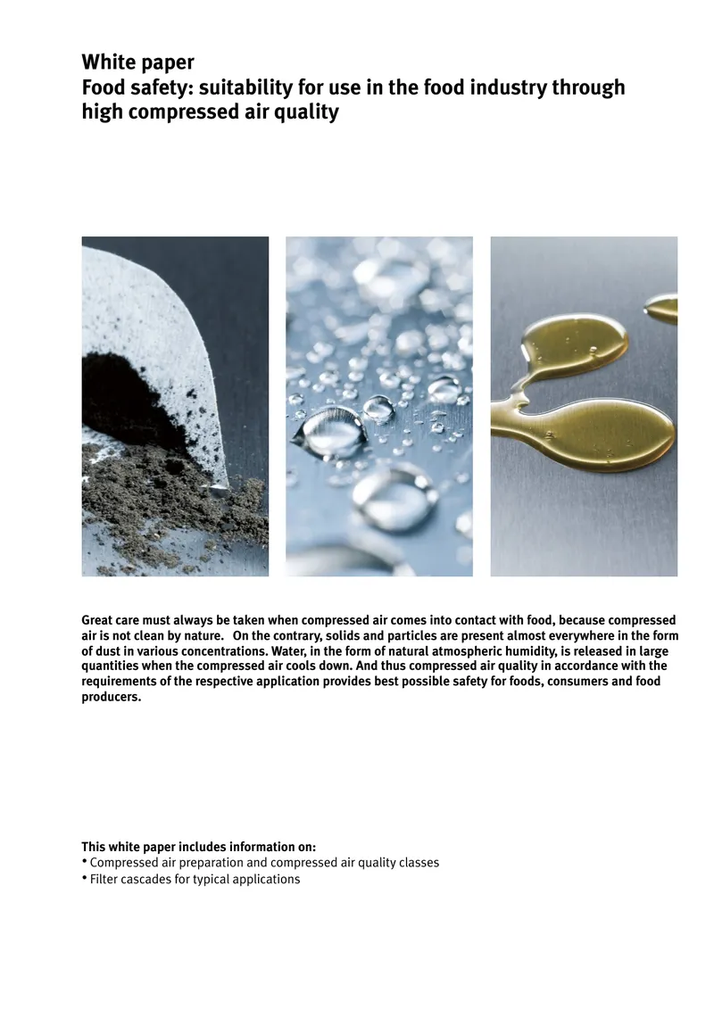 Compressed Air Quality Standards in Food Industry preview page 1