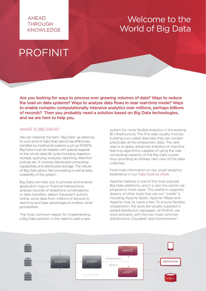 Big Data Solutions and Services Overview