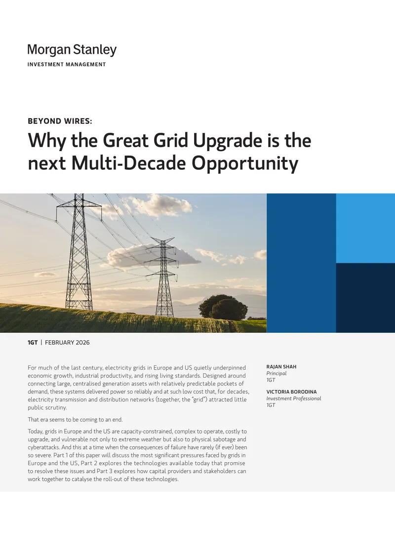 Challenges and Opportunities for Electricity Grid Upgrades