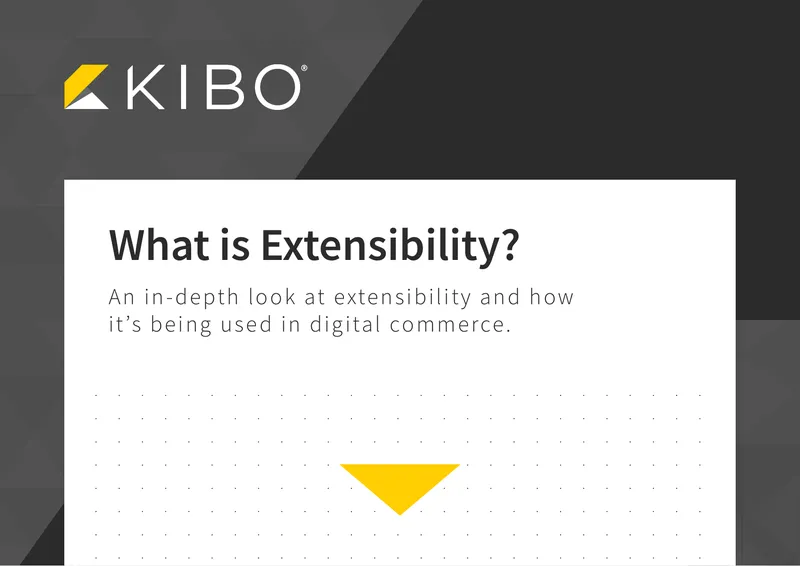 Understanding Extensibility in Digital Commerce