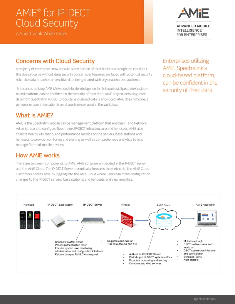 AMIE Cloud Security White Paper