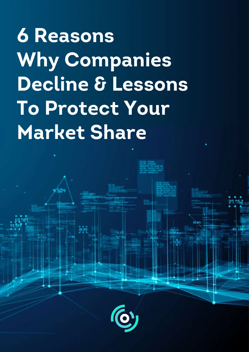 Reasons for Business Decline and Market Protection Lessons