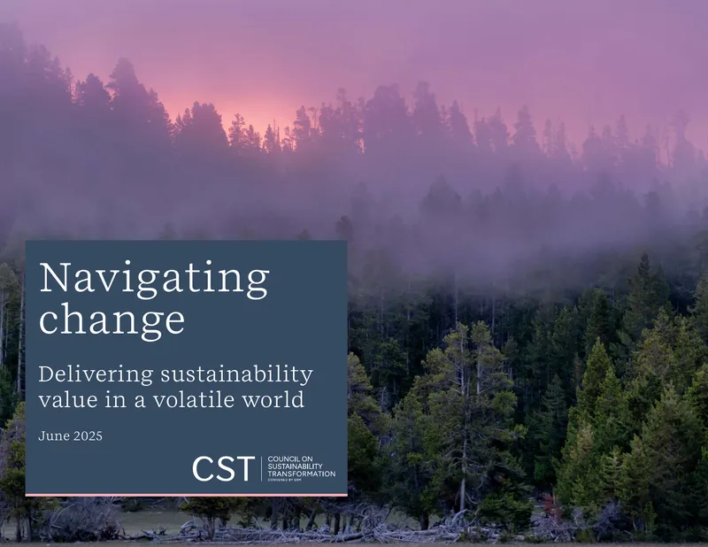 Corporate Sustainability Strategies in a Volatile Environment