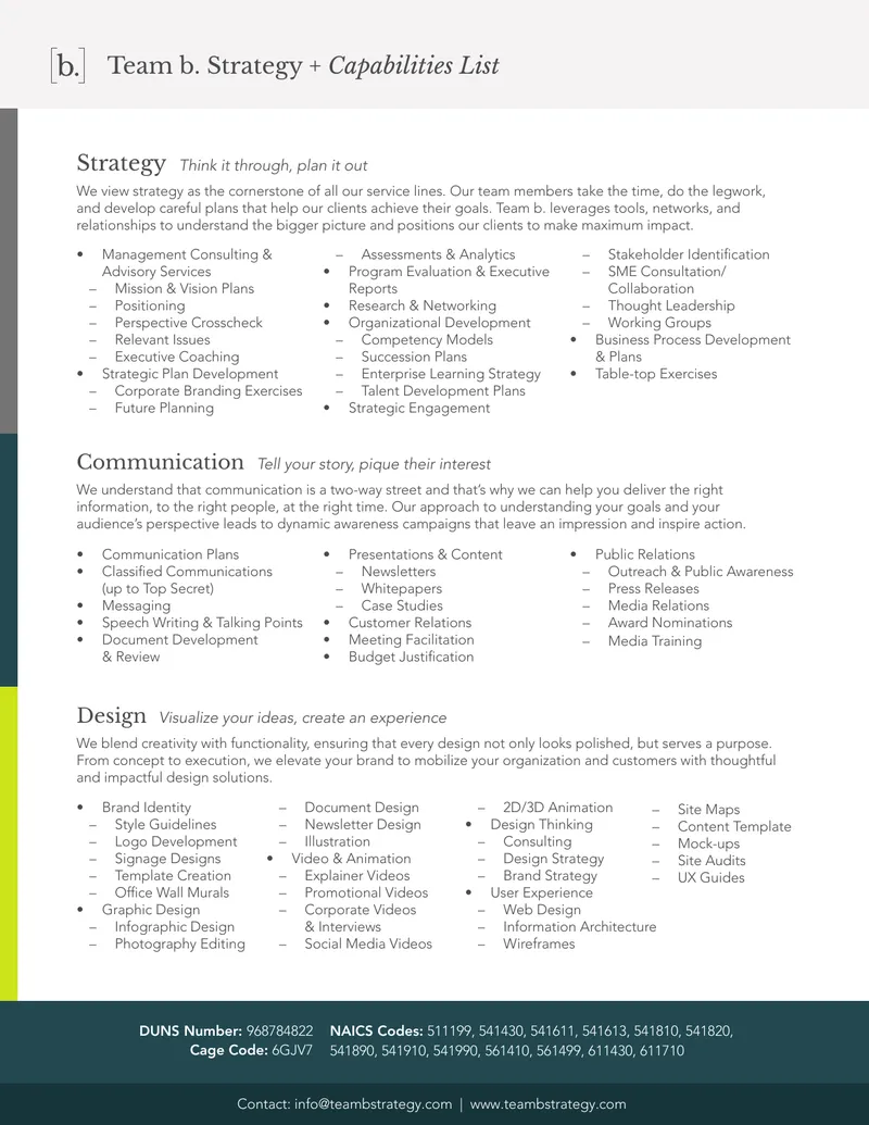 Team b. Strategy and Capabilities Overview