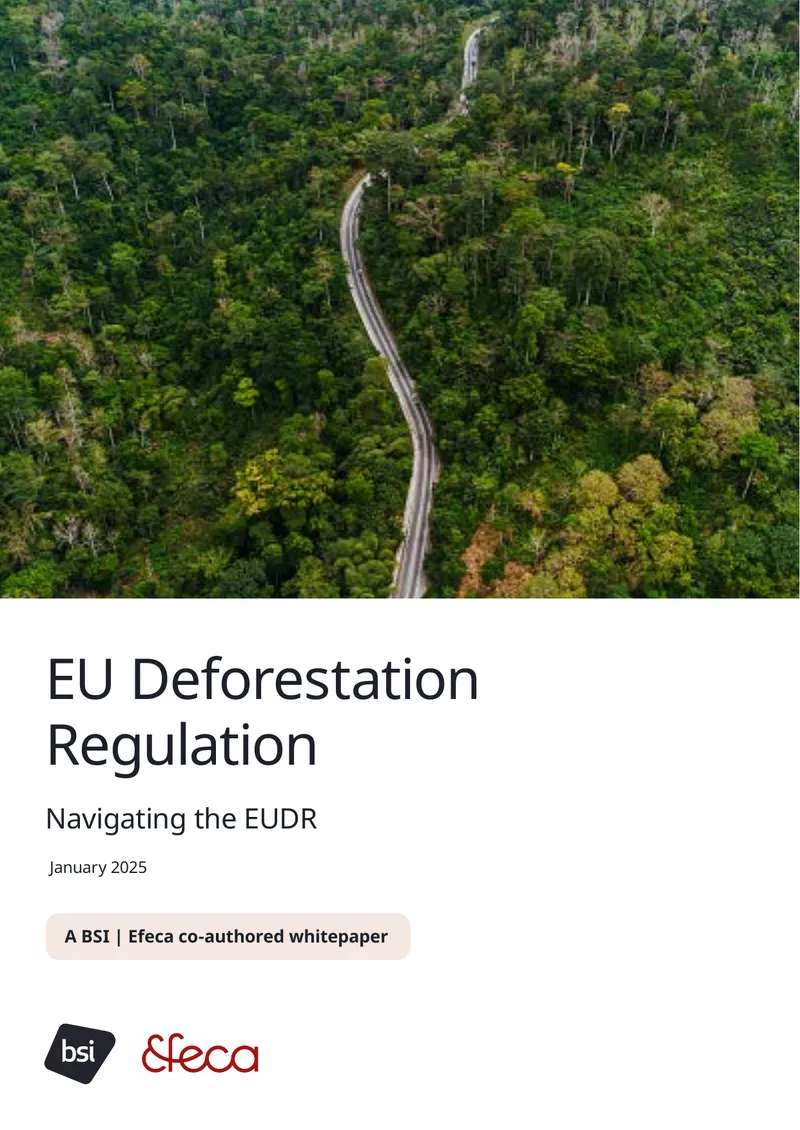 EU Deforestation Regulation Compliance Guide