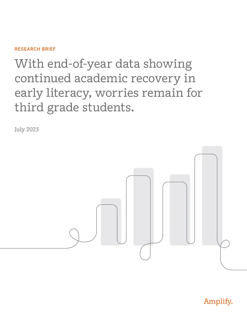 Research Brief on Third Grade Literacy Risks