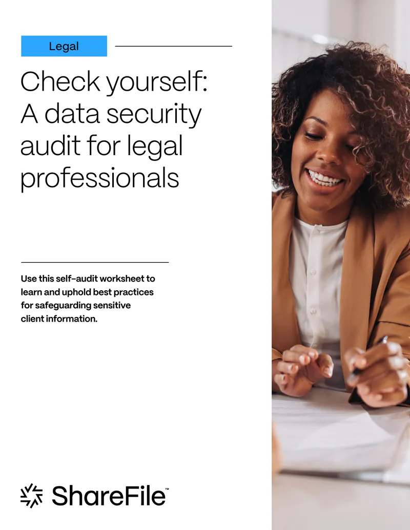 Data Security Audit for Legal Professionals