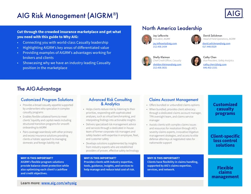 AIG Risk Management Program Overview