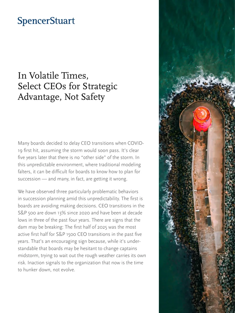CEO Selection Strategies in Unpredictable Environments