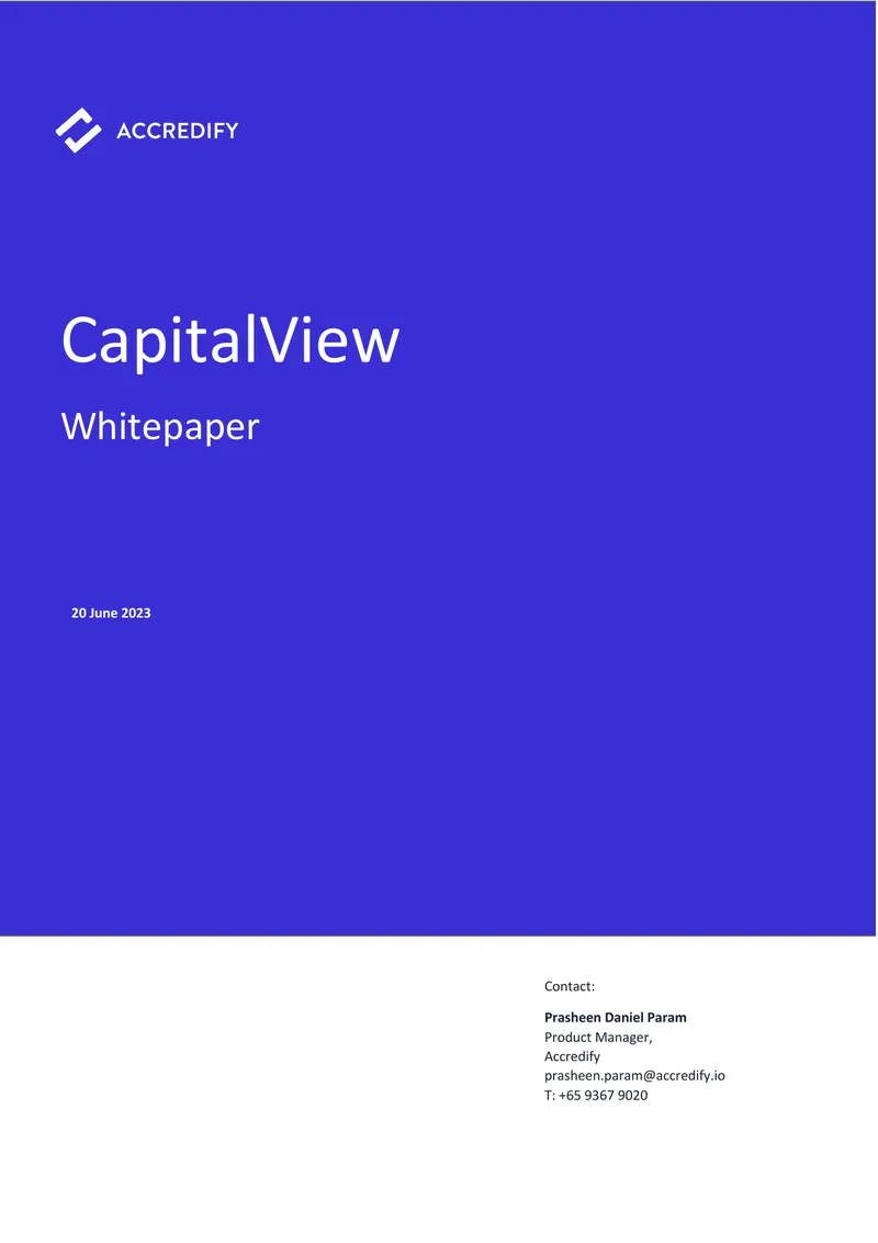 Project CapitalView Private Equity Market Analysis