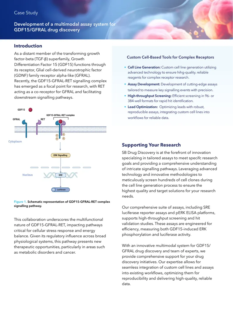 Development of GDF15-GFRAL Drug Discovery Assays