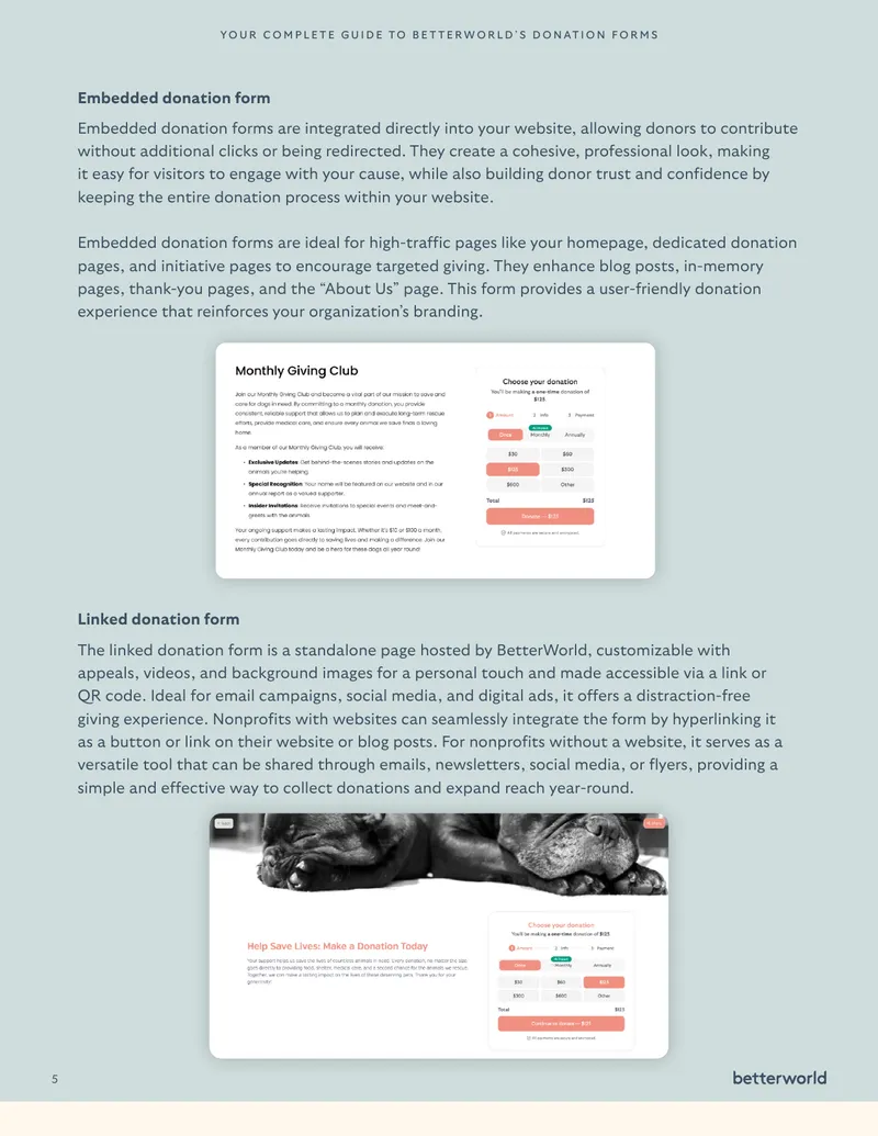 Page 5