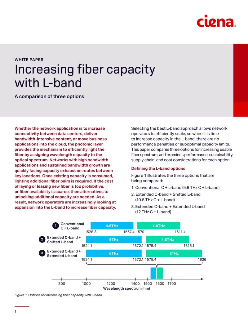 Increasing Fiber Capacity with L-band Options
