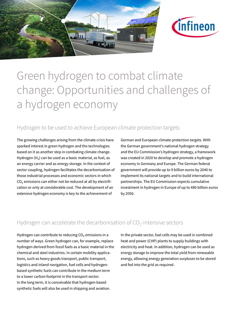 Green Hydrogen Economy Opportunities and Challenges