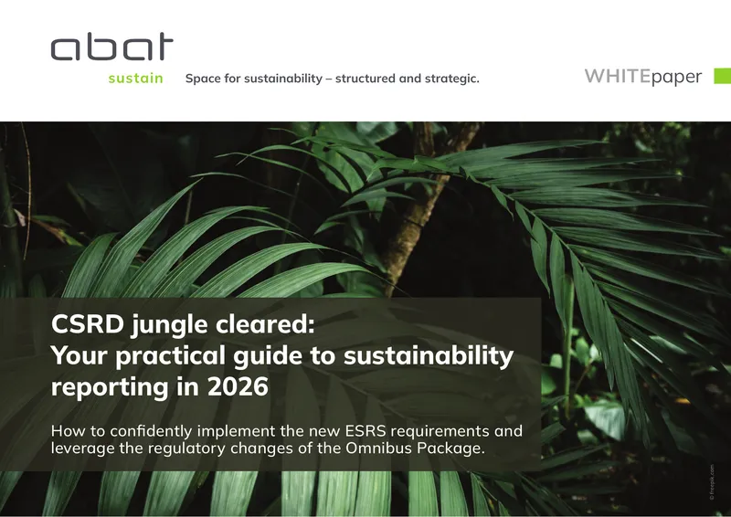 Practical Guide to CSRD and ESRS Implementation