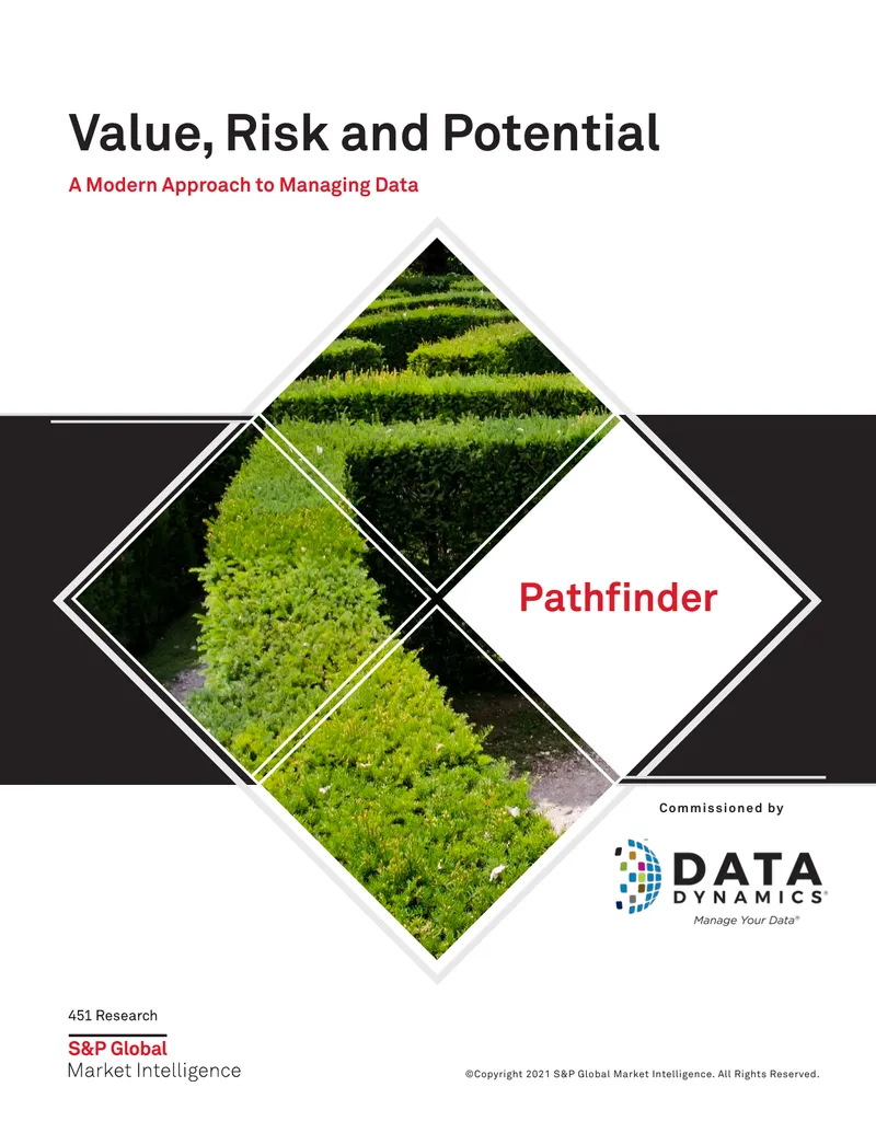 Value, Risk and Potential in Data Management