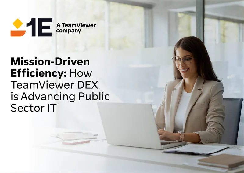 Mission-Driven Efficiency in Public Sector IT