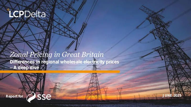Zonal Pricing Impacts on Electricity Costs