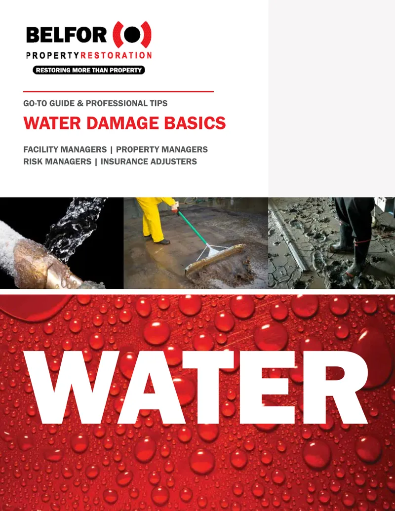 Water Damage Management Guide and Professional Recommendations