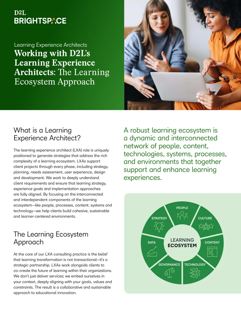 Learning Experience Architect Consulting Framework