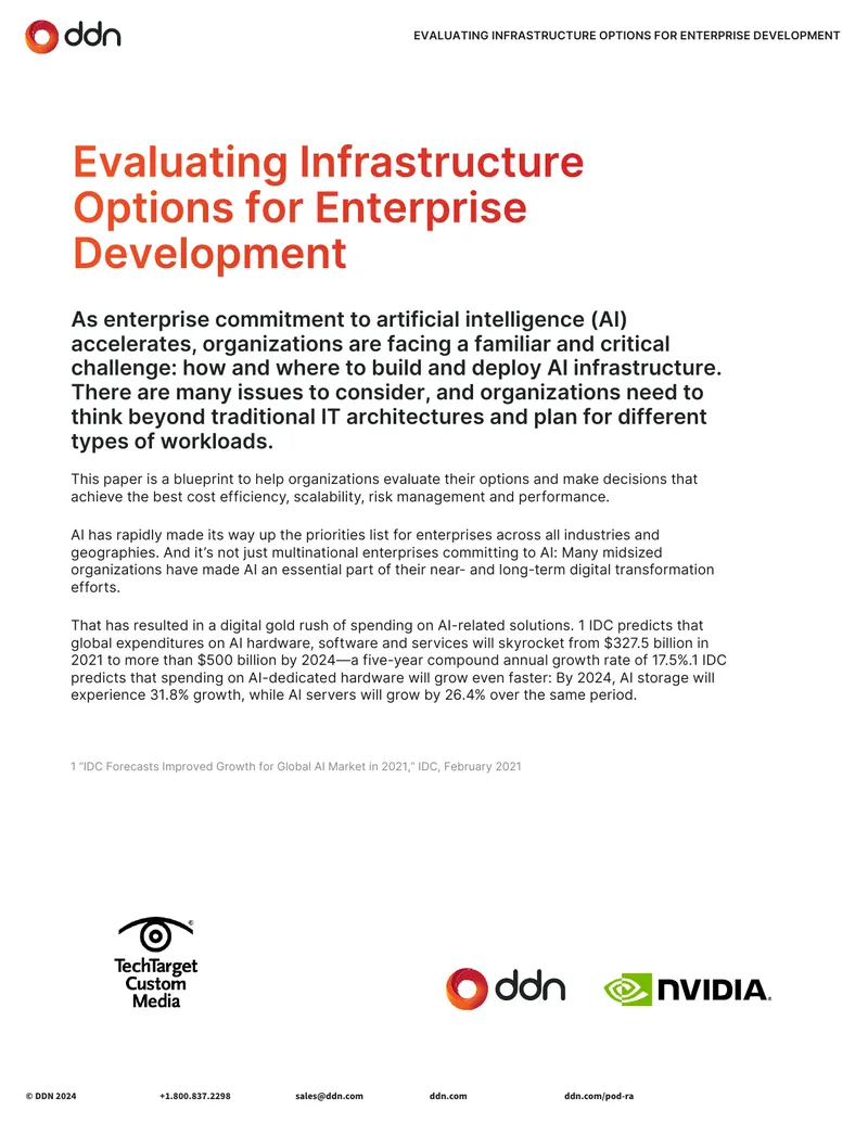 Evaluating Infrastructure Options for Enterprise Development