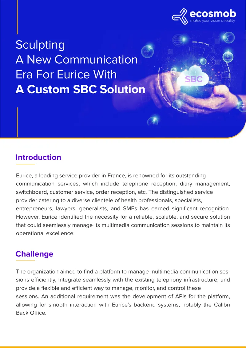 Custom SBC Solution Development for Eurice