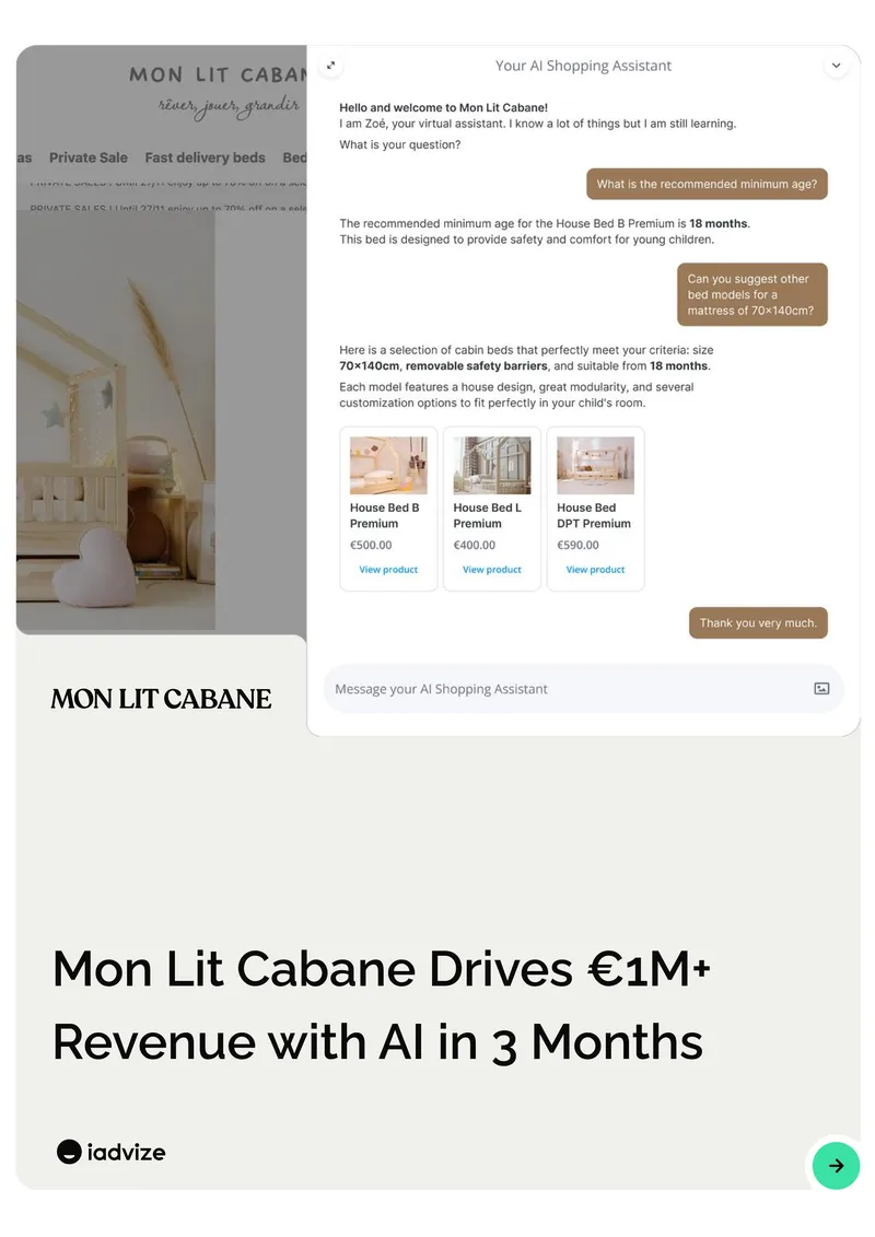 AI Shopping Assistant Implementation Case Study