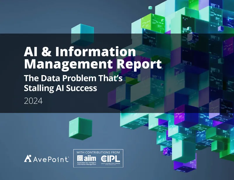 AI and Information Management Report on Data Challenges