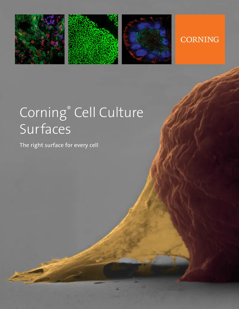Corning Cell Culture Surfaces Overview