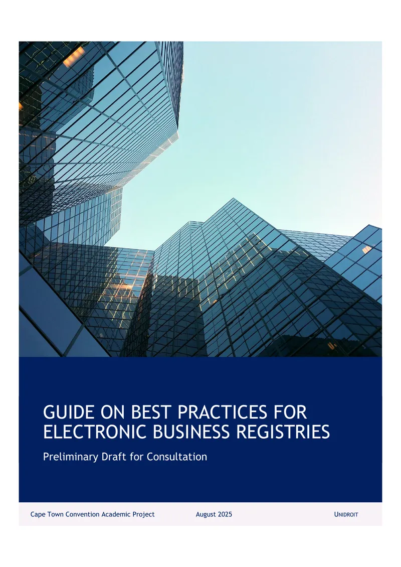 Guide on Best Practices for Electronic Business Registries