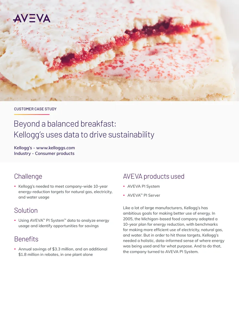 Kellogg's Energy Reduction Case Study