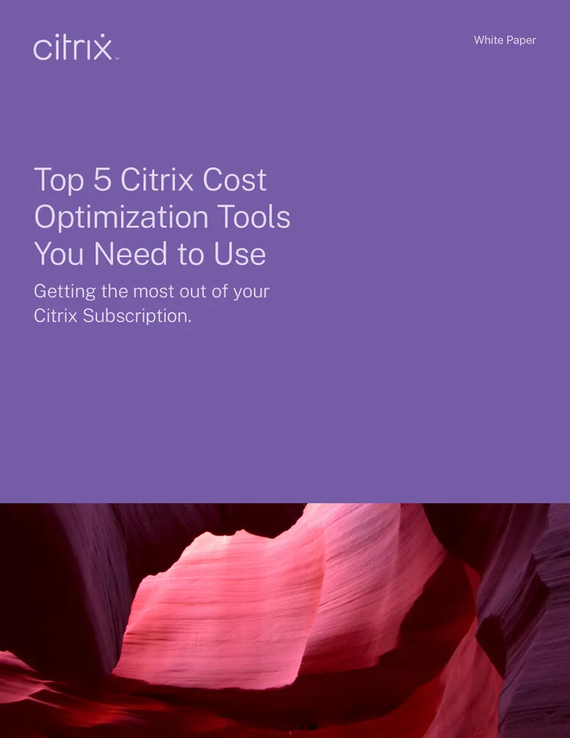 Top 5 Citrix Cost Optimization Tools for Subscriptions