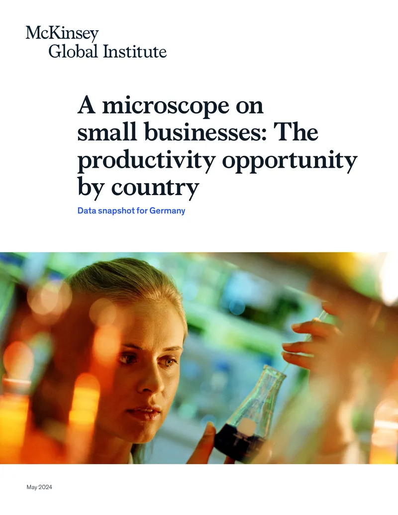 Data Snapshot on Small Business Productivity in Germany