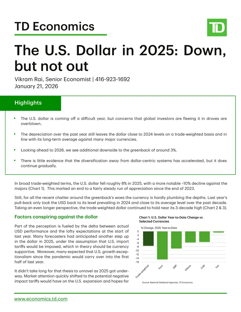 The United States Dollar in 2025 Analysis