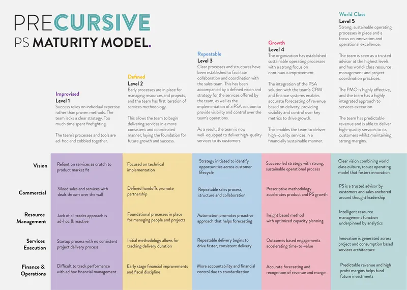 Professional Services Maturity Model Framework
