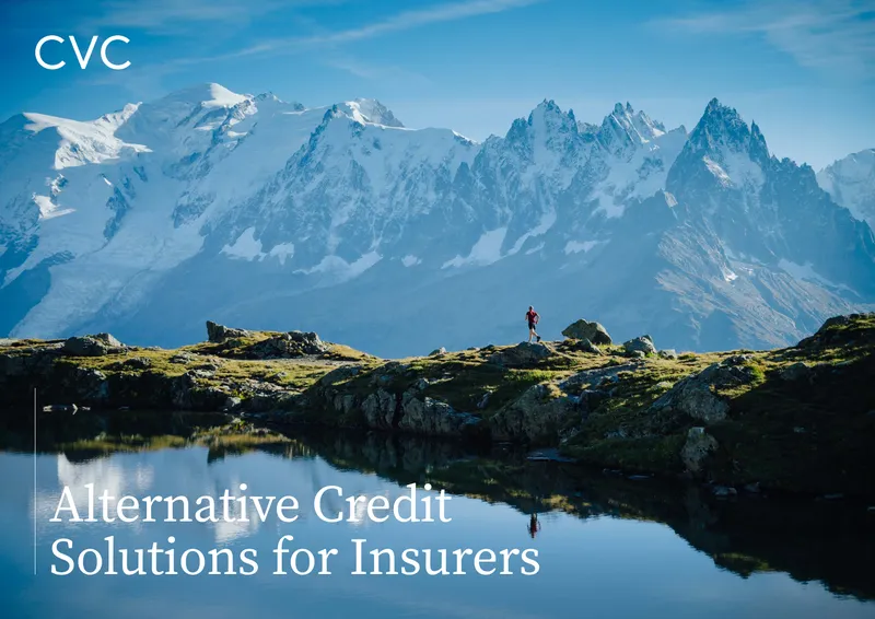 Alternative Credit Solutions for Insurers