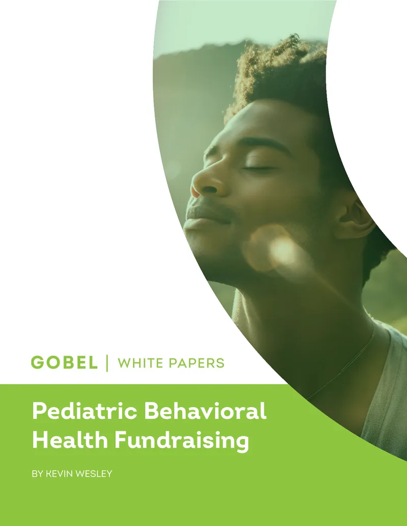 Pediatric Behavioral Health Fundraising Initiatives