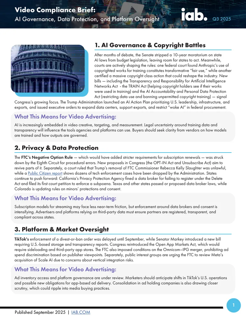 Video Compliance Brief on AI Governance and Data Protection
