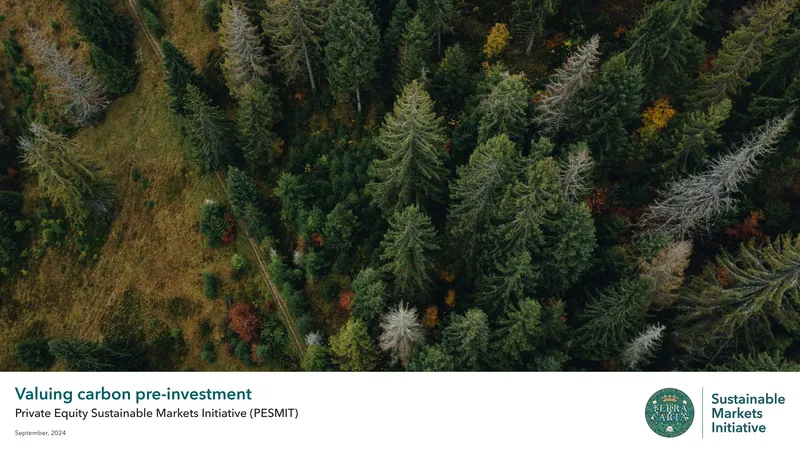 Valuing Carbon Pre-Investment Guidance