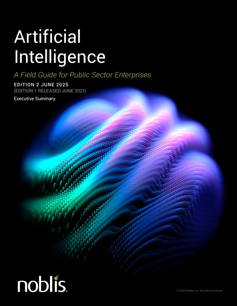 Artificial Intelligence Field Guide for Public Sector Enterprises