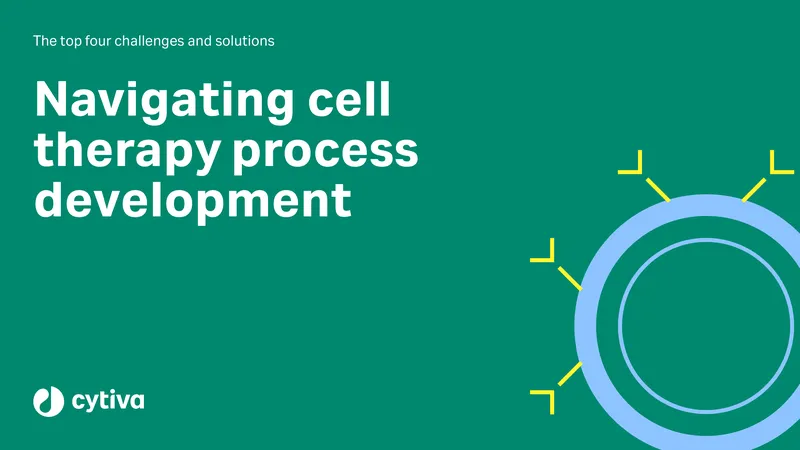 Challenges and Solutions in Cell Therapy Process Development