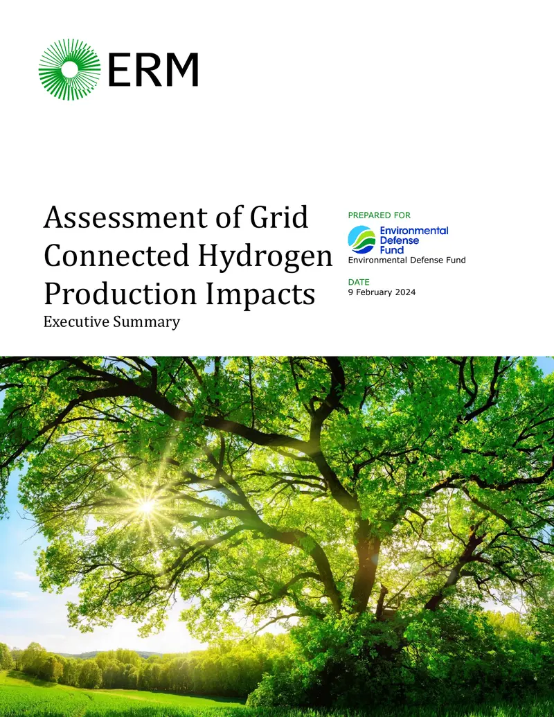 Assessment of Grid Connected Hydrogen Production Impacts