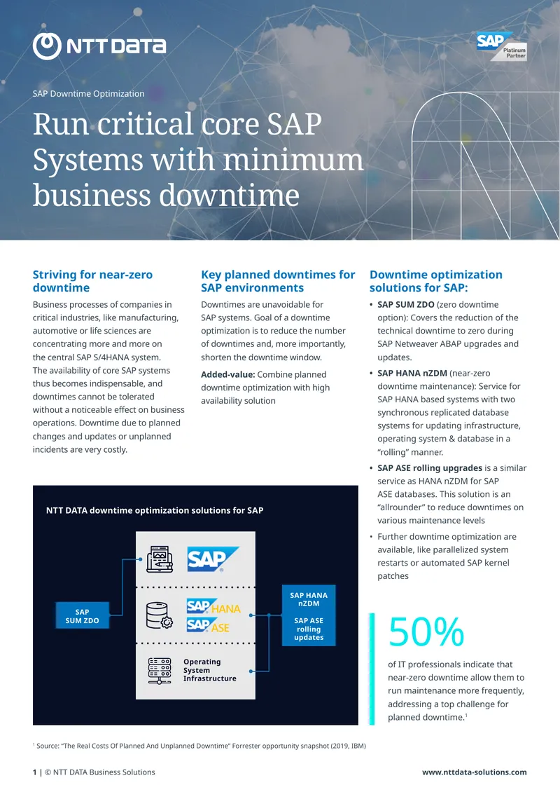 SAP Downtime Optimization Solutions Overview
