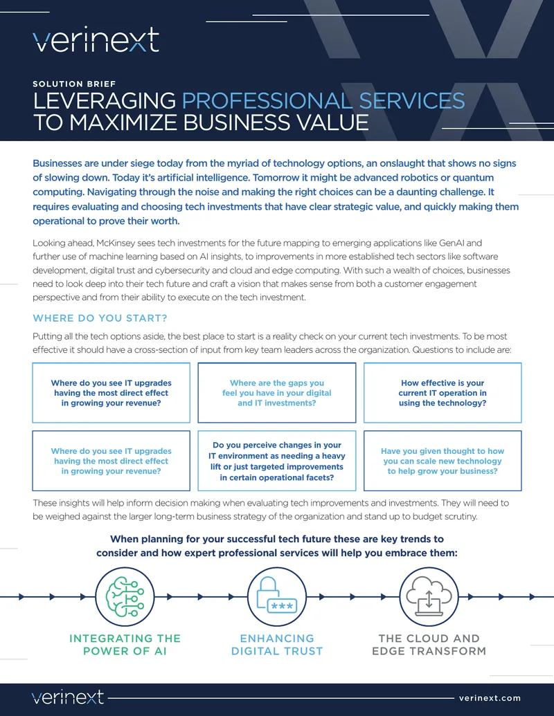 Leveraging Professional Services to Maximize Business Value